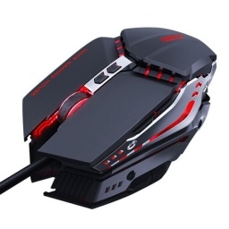 MOUSE T80 IMICE